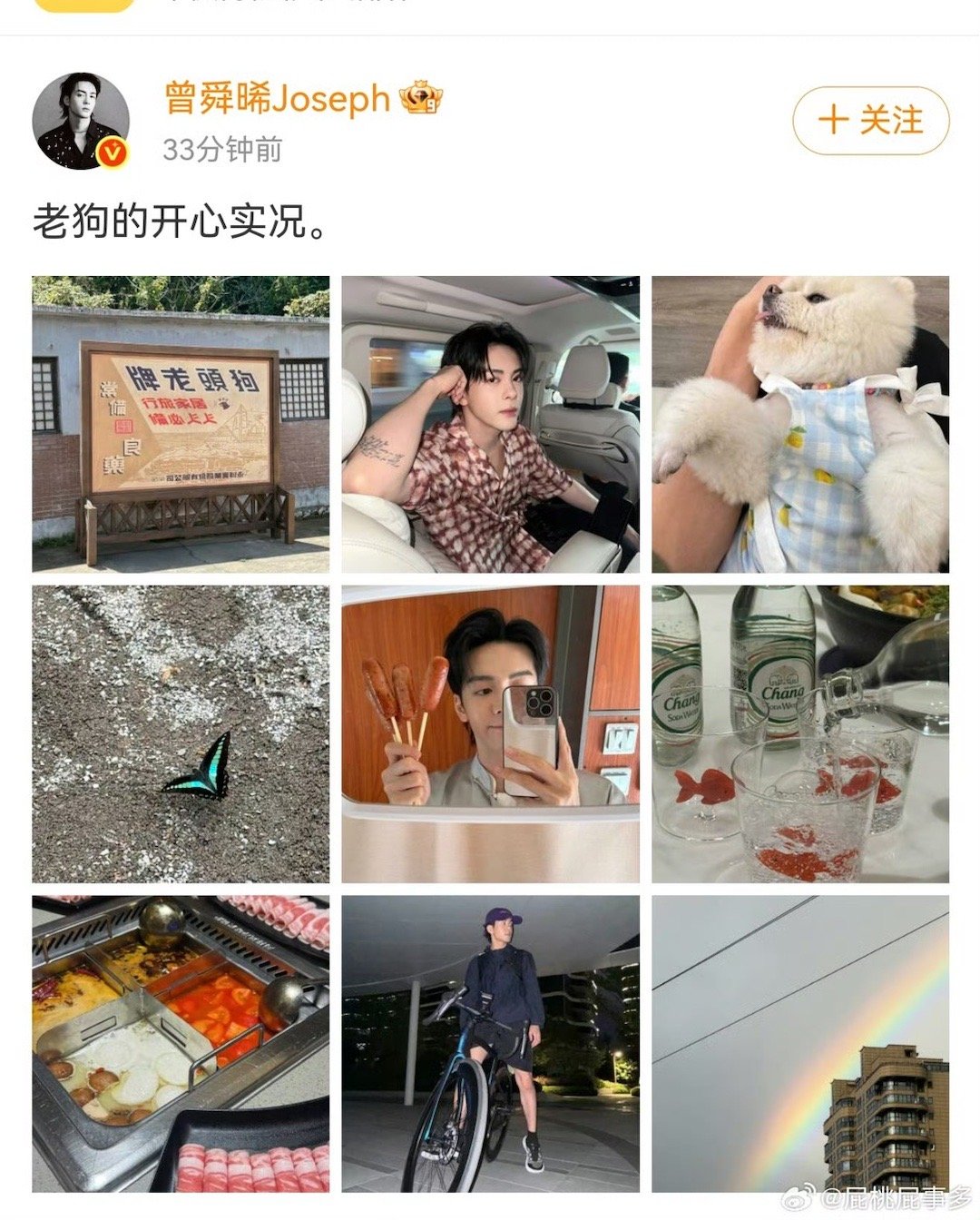 两日不见曾舜晞背着我有别的狗了 曾舜晞怕不是有“狗狗吸铁石”体质？刚和三寸丁培养