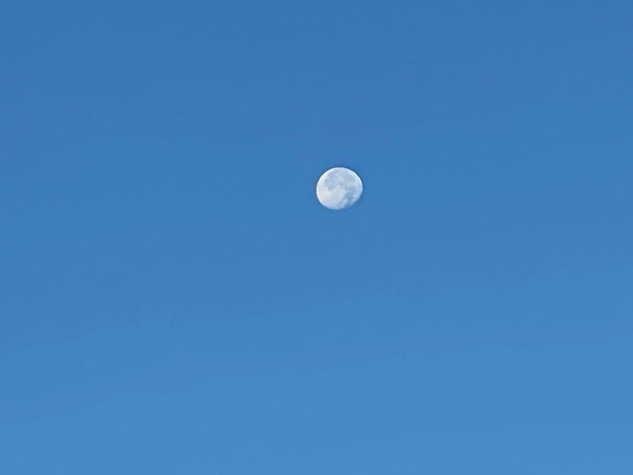 都在说海水倒灌 我就想问问各位条友 你们以前看过这么清晰的月亮吗？ 还是白天 .