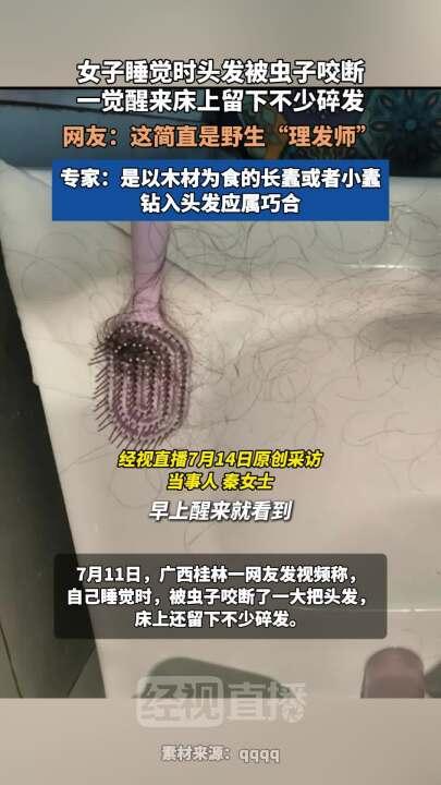 广西一女子睡觉时头发被虫子咬断，一觉醒来床上留下不少碎发，网友：这简直是野生"理