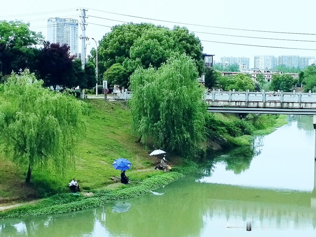 心宽一寸，路便宽一丈。与其纠结不如意的八九，不如多想想那值得珍惜的一二。