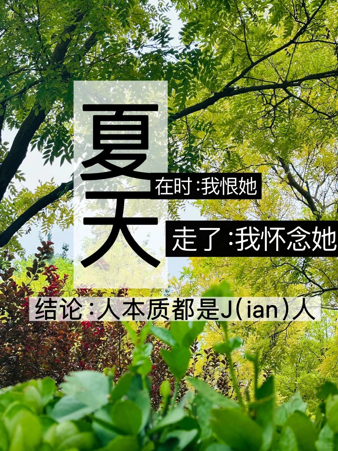 这个夏天，让我正式确诊J人