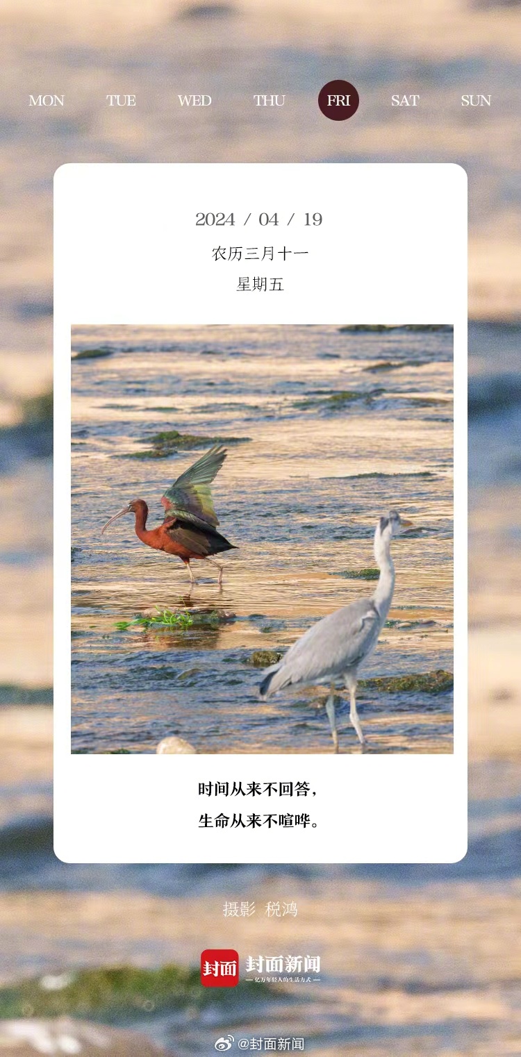 #小封日历# 早安~周五啦，起床请举手[举手]~#珍惜4月最后一个双休# ​​​