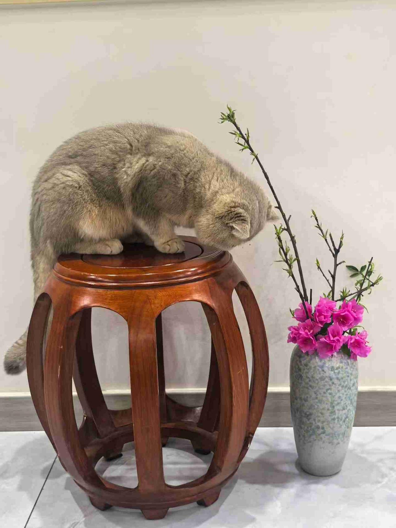 我的今日状态：😁轻松愉快
我这里的天气：☀️晴天