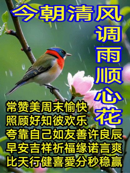 (♛‿e)日有所思夜有梦(a‿♛) 
(O‿o)常赞美周末愉快(o‿O) 
(O