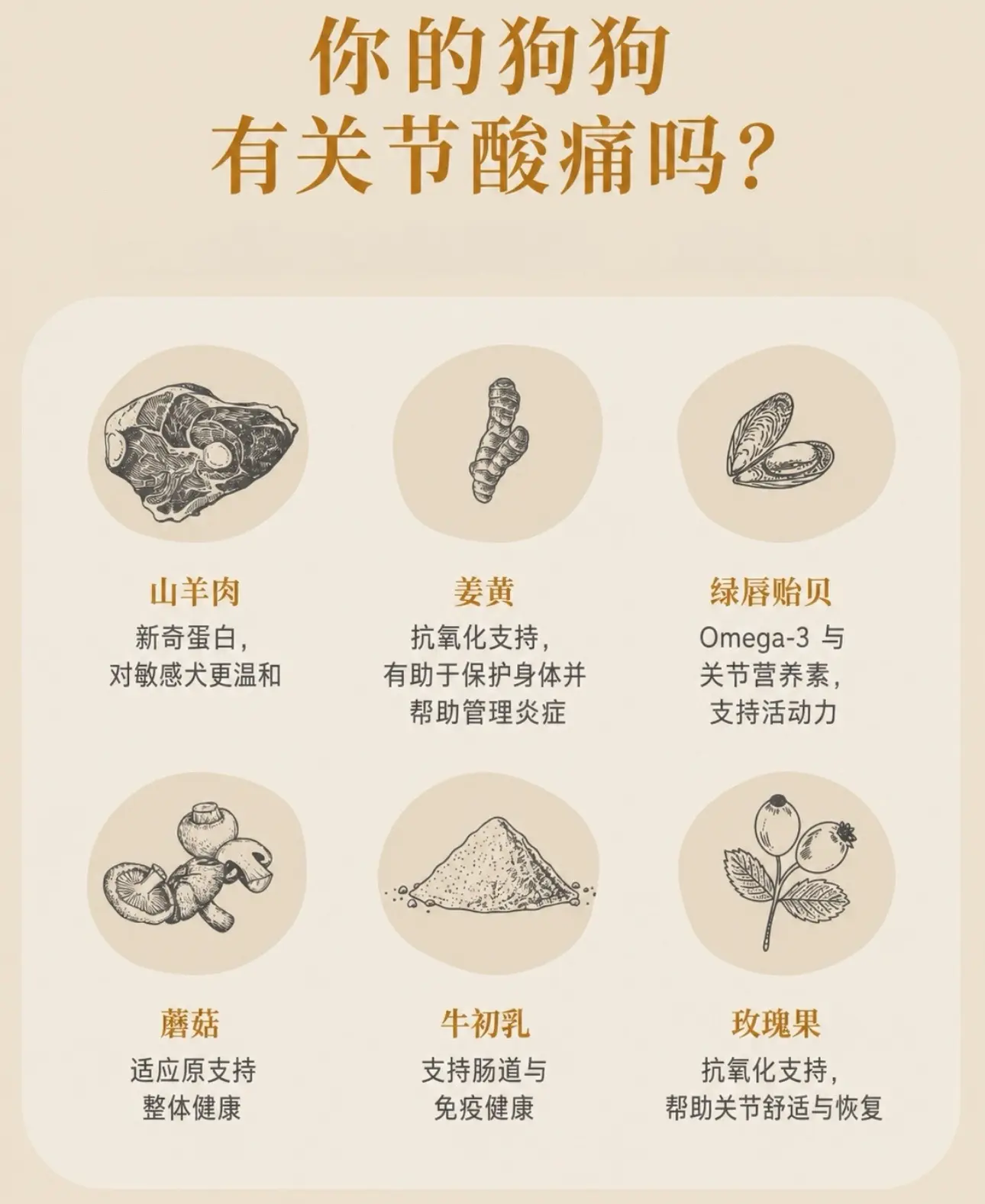 呵护狗狗关节、提升行动灵活度🐾。专为呵护狗狗关节、提升行动灵活度、缓...