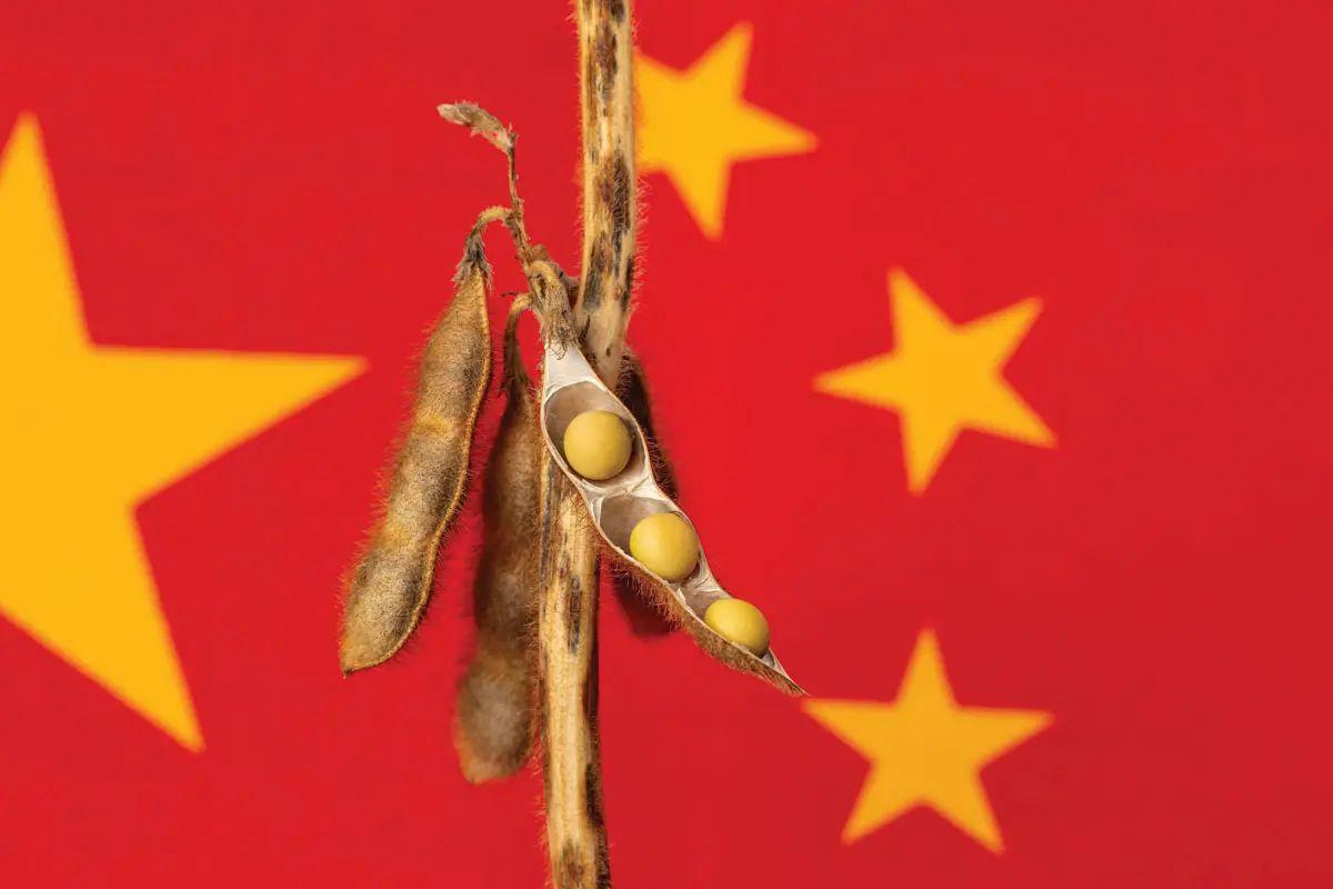 最近农业农村部发了个《中国农产品供需形势分析》的报告

里面提到2026/27年