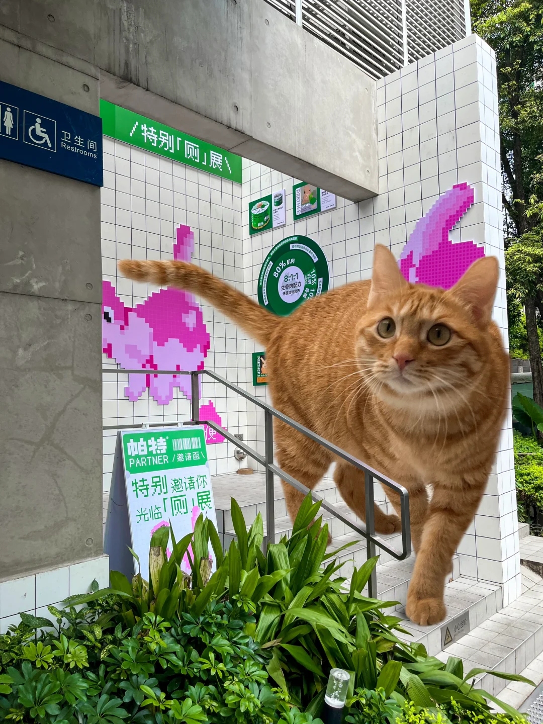 厕展？也太超前了吧！