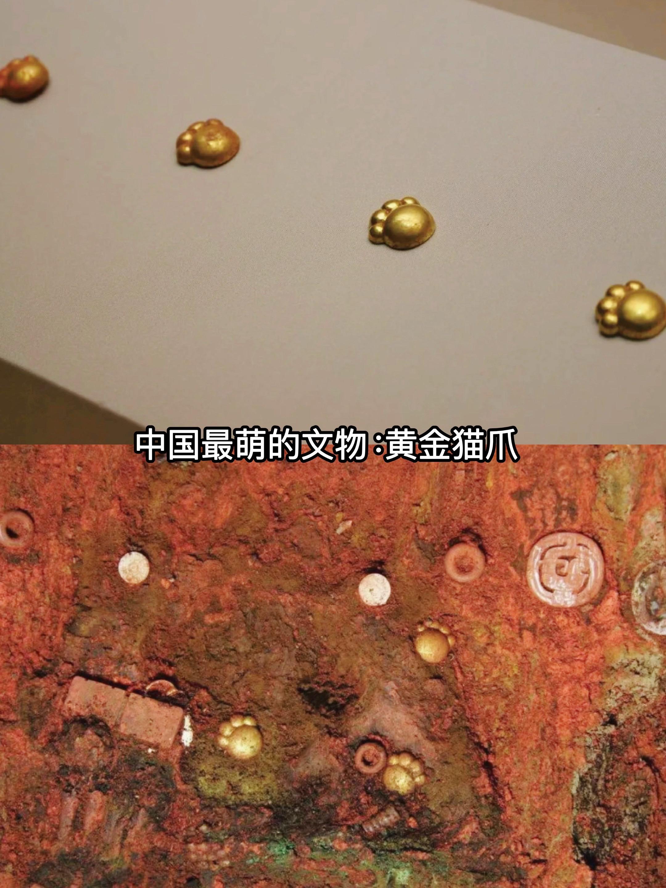 史上最萌文物，来自2700年前东周猫爪形金饰 古人也撸猫，猫是人类最早驯化的宠物