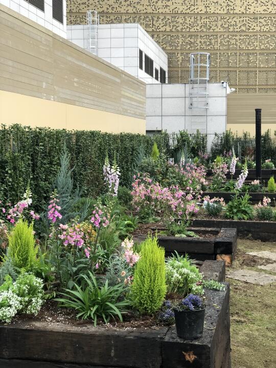 武商梦时代2000平顶楼花园进行时