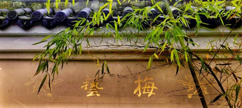 看到如此精彩的评论解析，着实令人赞叹！就如这位名为“浮世砚”的朋友，对以梅竹喻人