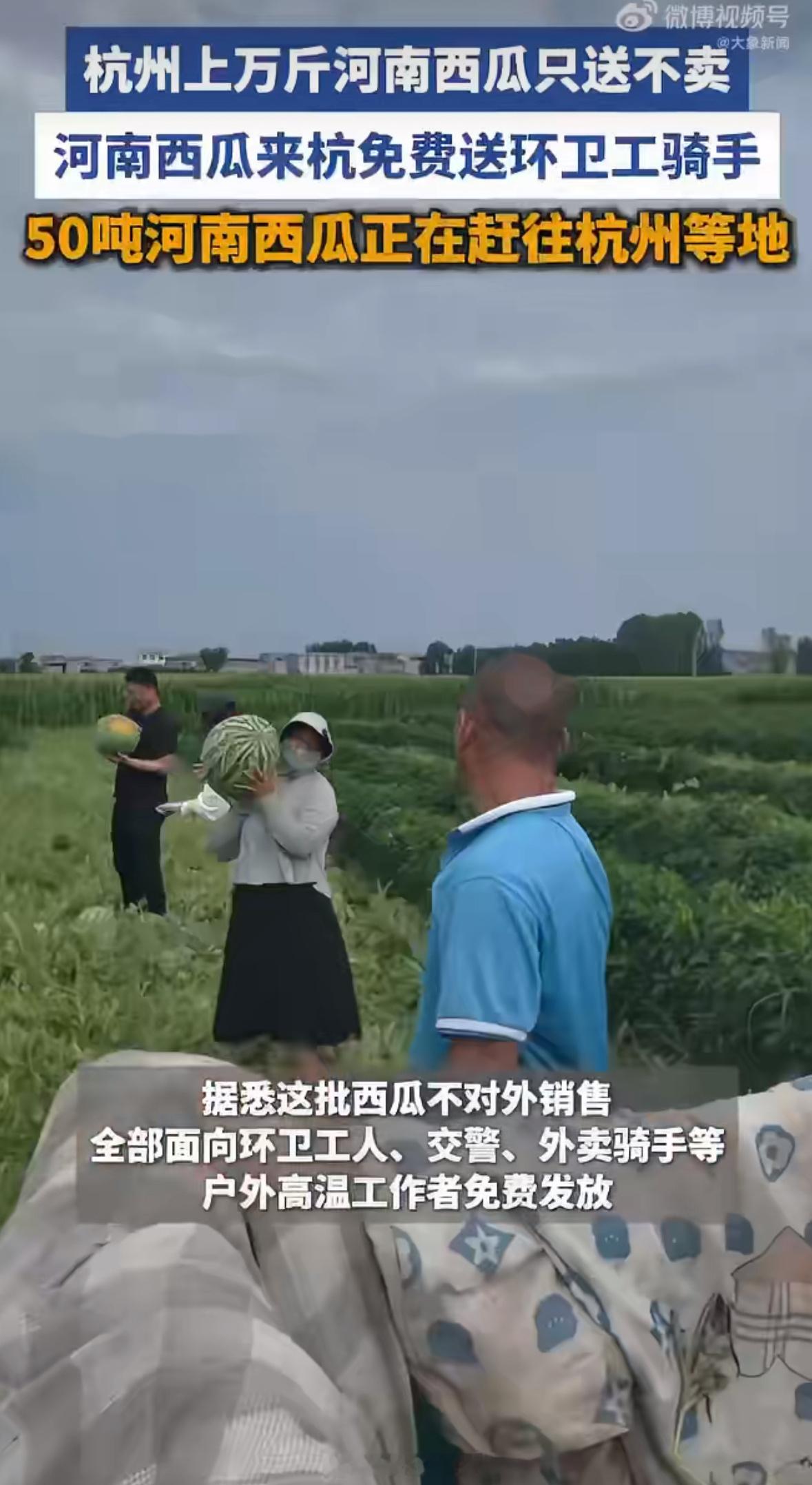 能解决问题的善良，才是真的善良。50吨西瓜也能卖不少钱，但他们选择不卖。这比发一