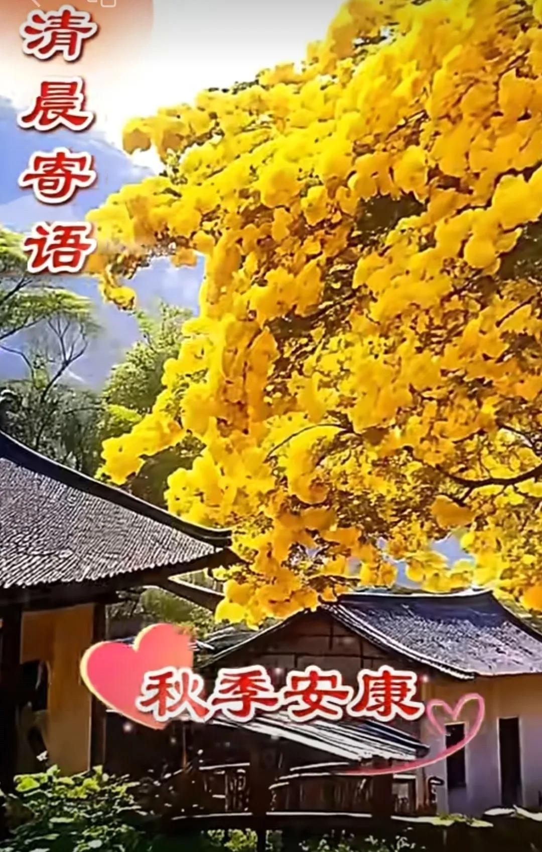 夏去秋來風景美，
早晚天涼加衣裳，
每天散步多溜彎，
鍛煉身體保健康，
幸福快樂