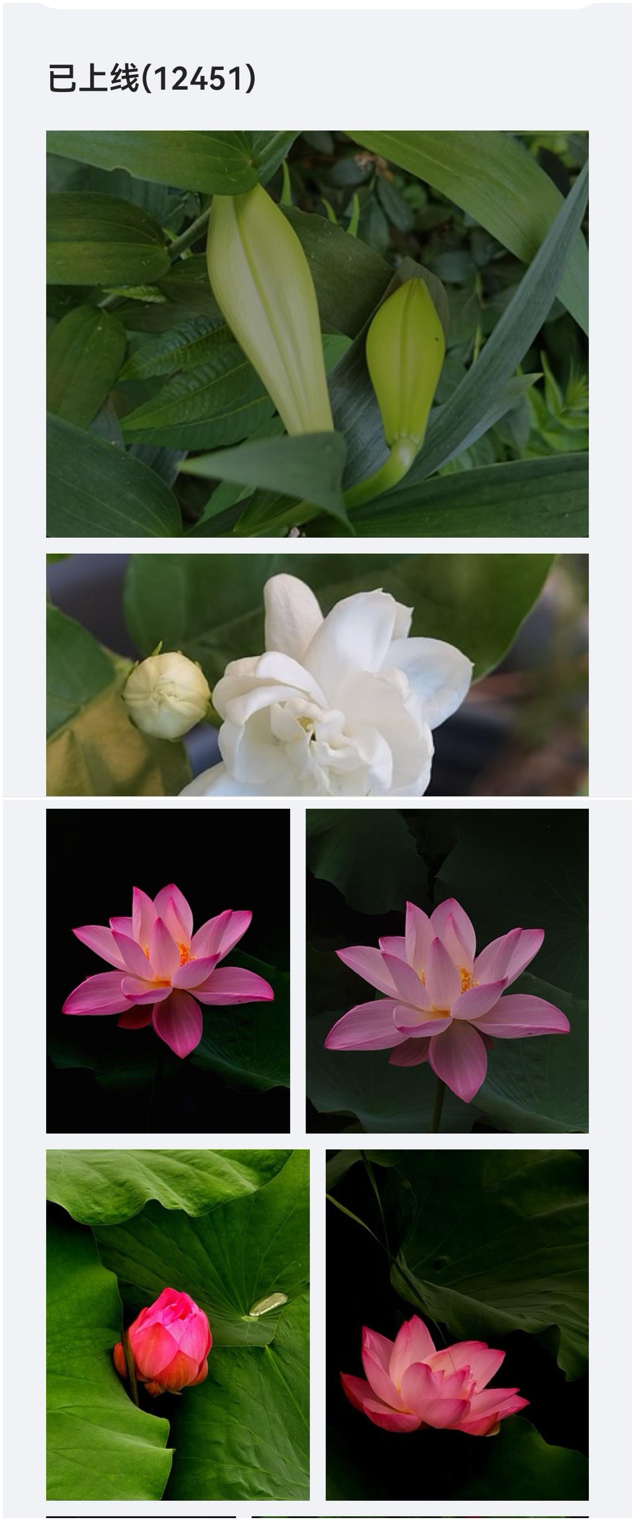 视觉中国已经上线12451张照片，特存谢。视觉中国&500px 视觉中国
