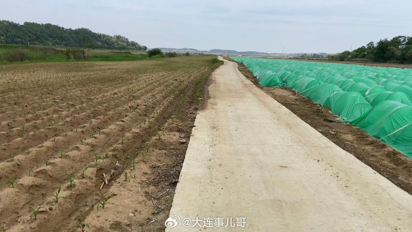 辽宁营商环境监督 【大连庄河20亩基本农田惨遭挖沙毁地！假改良、真牟利，良田变涝