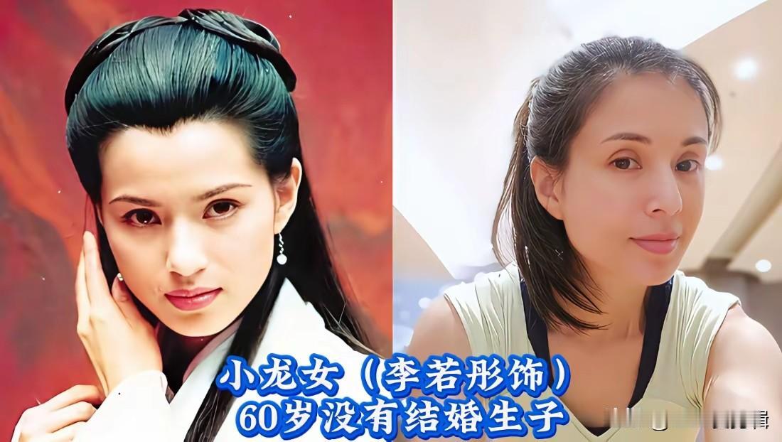 95版《神雕侠侣》一众女演员，时隔多年现状差别太大。
李若彤的小龙女成为难以超越