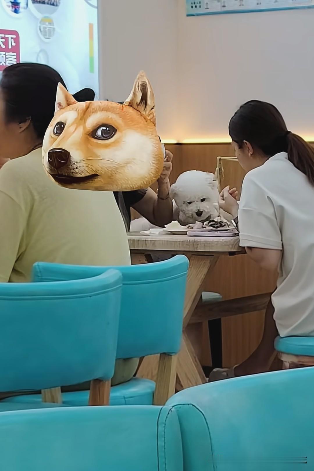 狗上桌，这次轮到沈阳的沈老头包子铺了，真的是相亲相爱的一家人。两名女食客带着毛孩