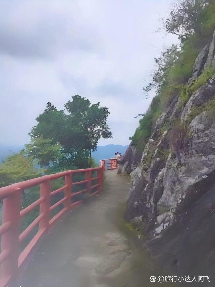 梧州石根山一日游攻略｜山林秘境全打卡

🌿谁说广东没有神仙山水？这个藏在梧州的