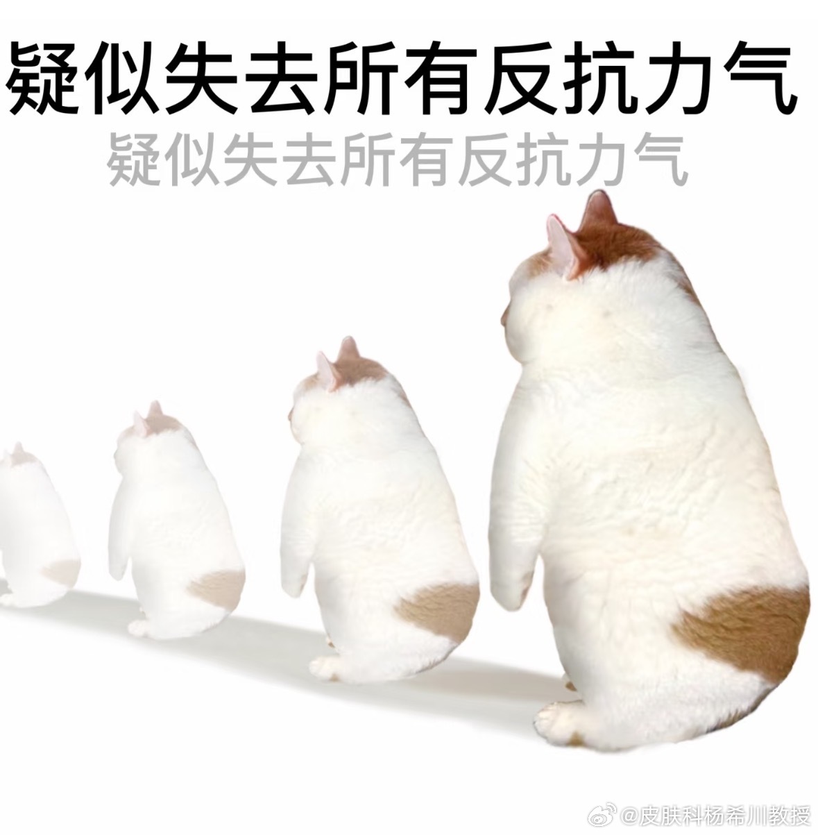 朱丹吃了40多年鸡蛋才发现过敏  奇奇怪怪的过敏原有很多，比如吃米饭会过敏（郭碧