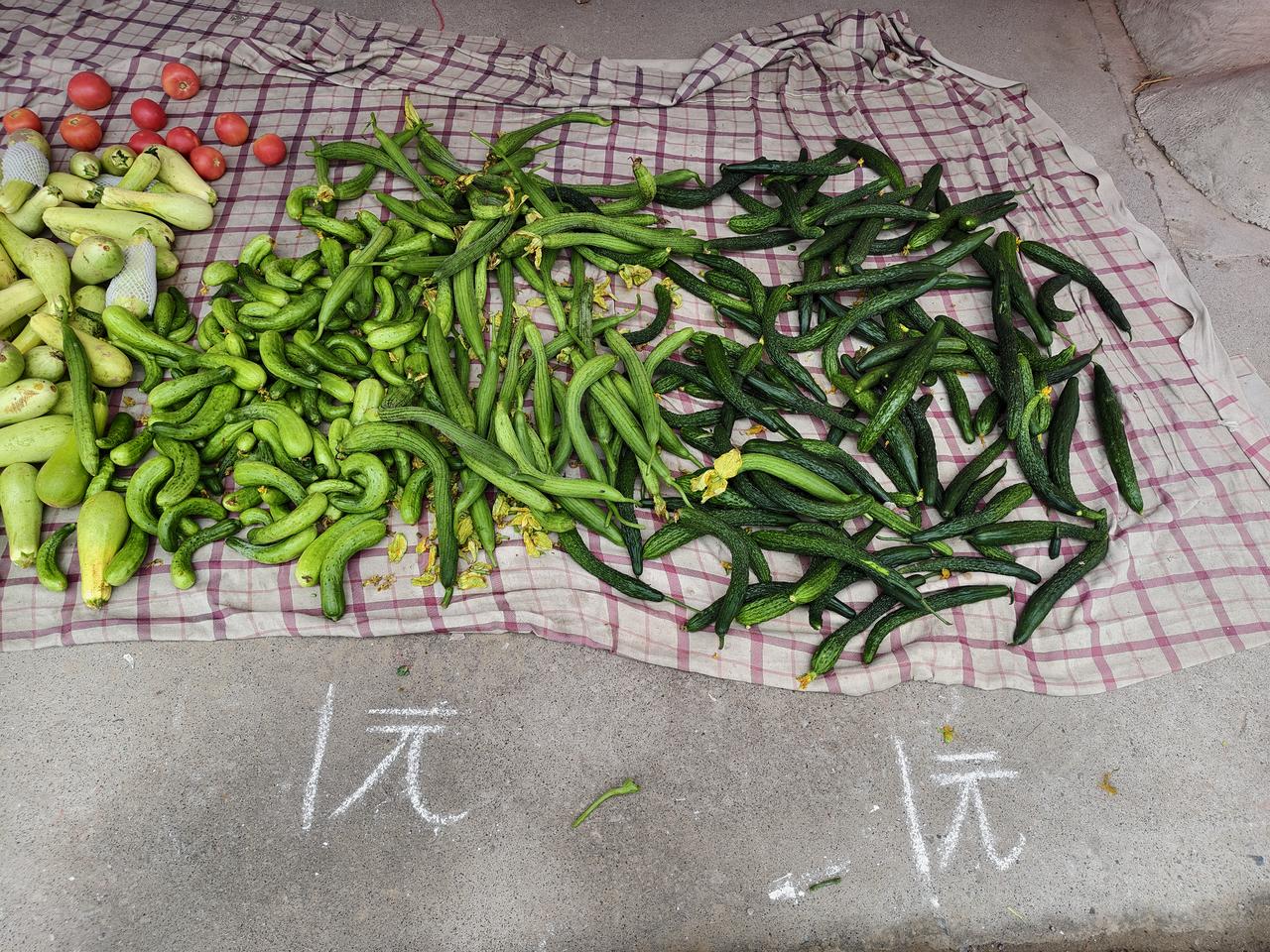 在运城盐湖西街早市，丝瓜和黄瓜都是卖1元一斤。而辣椒，脆瓜，西葫芦则是卖一元2斤