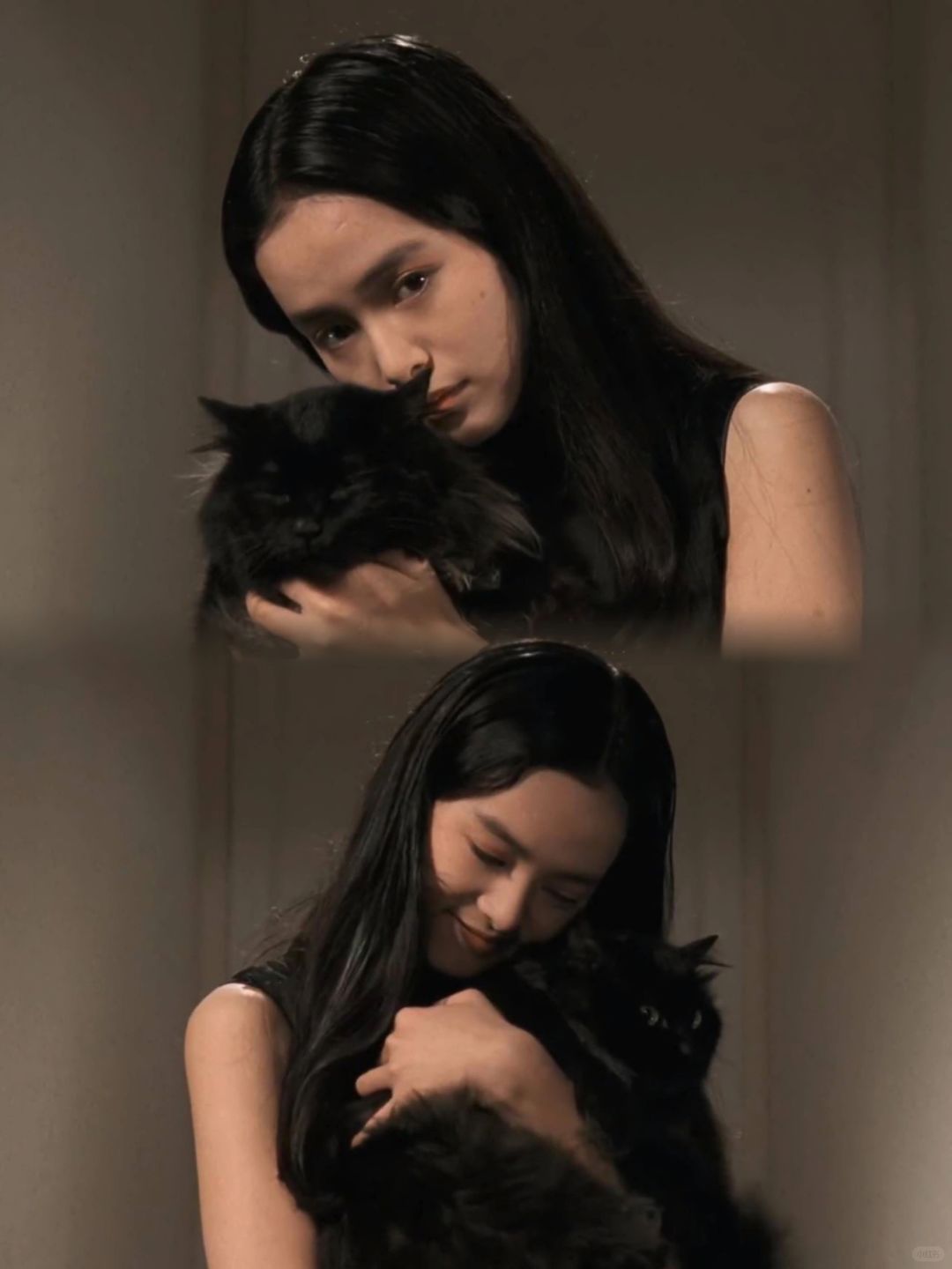 卫斯理电影里的猫狗大战