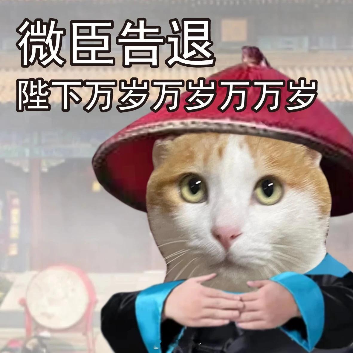 忙懵了上线凑个热闹不管了恭喜每一个去的人 我们线上能不能等来一个直播 ​​​