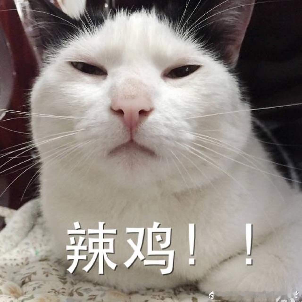 明年起私生粉滋扰纠缠明星明确违法有时候媒体解读特别鸡贼，人家规定的是“任何人”滋