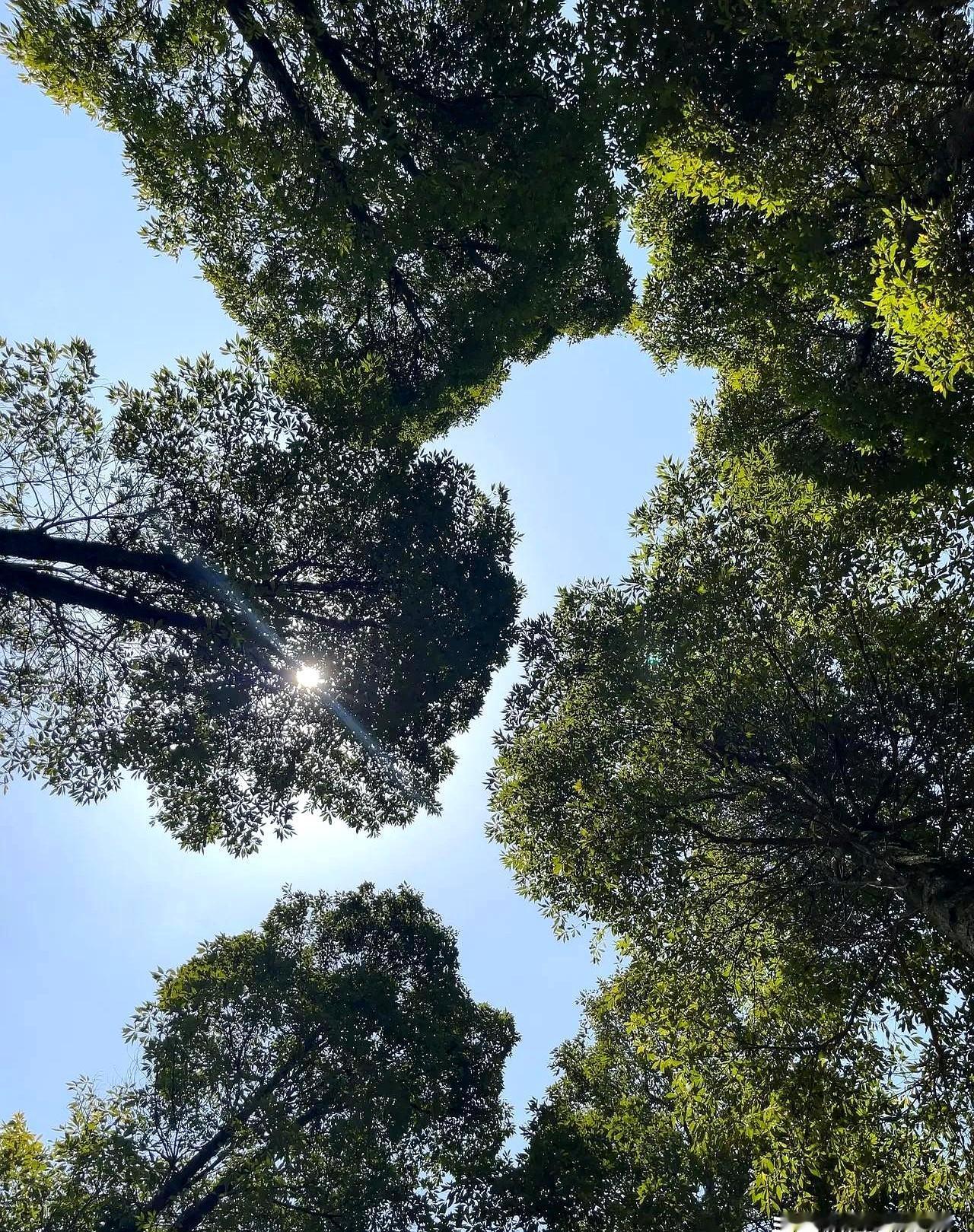 等到菜谱拿远了还是看不清时，才懂那句：第二坎是视力下降。
人老了有十个坎：第一坎