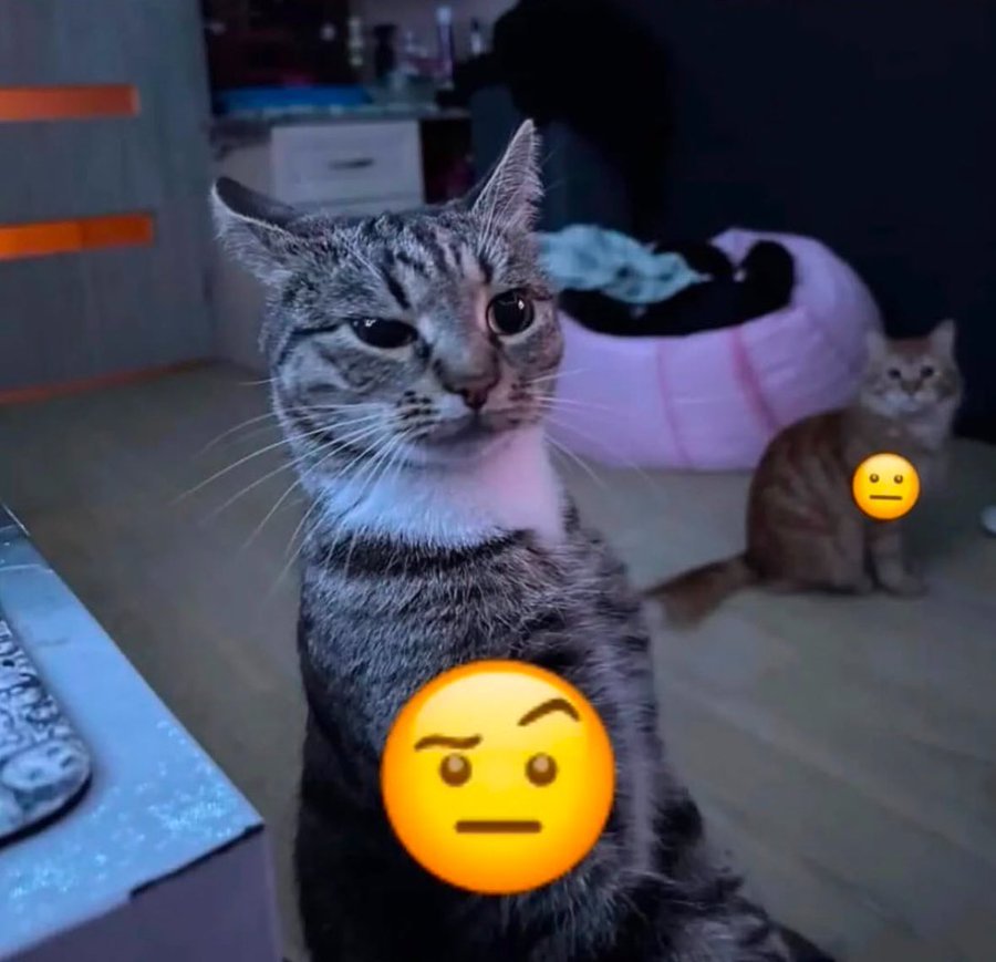 🤨👉😐 