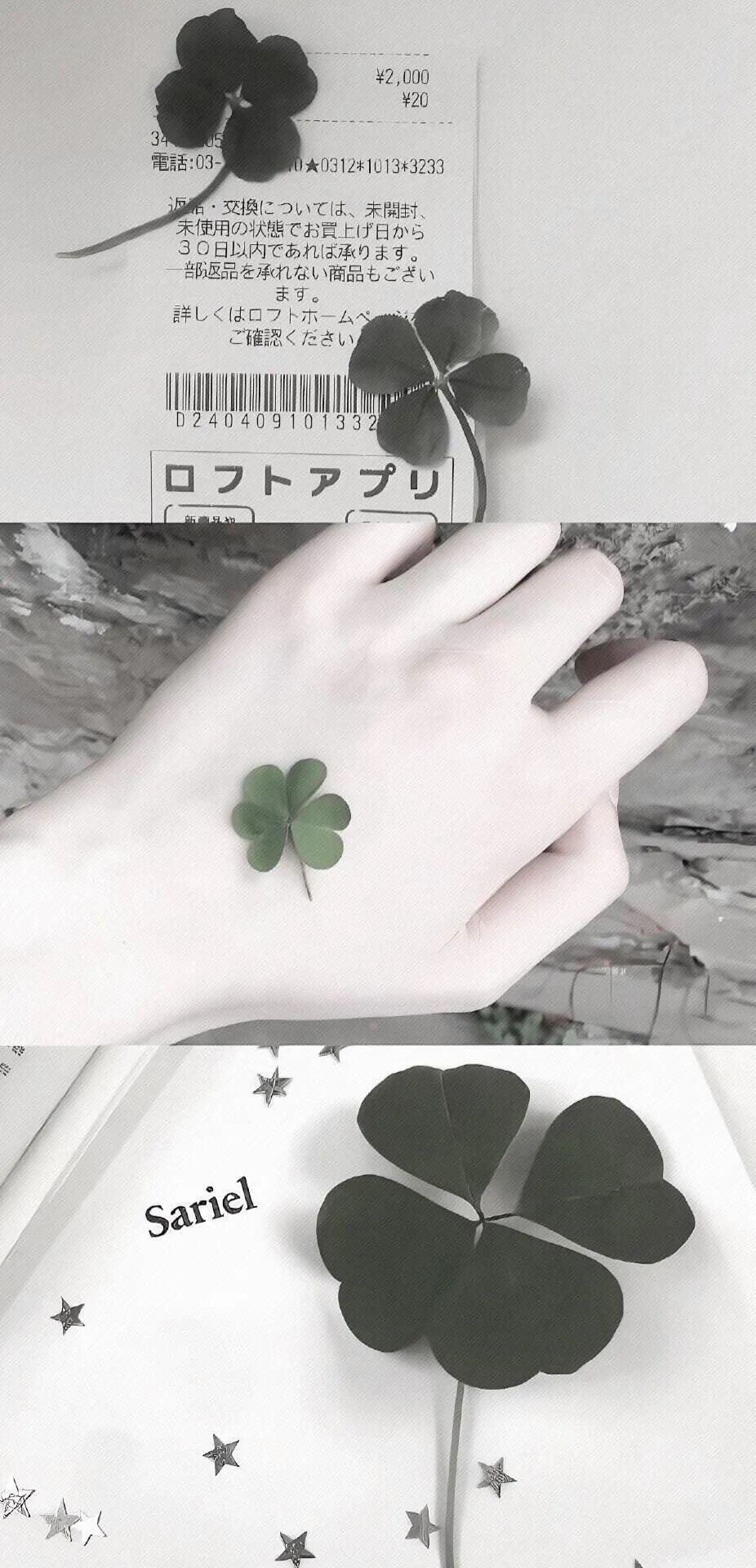 𝑺𝒉𝒂𝒓𝒆｜绿高清壁纸｜锁屏壁纸｜无水印｜ins｜低饱和｜审美累积 