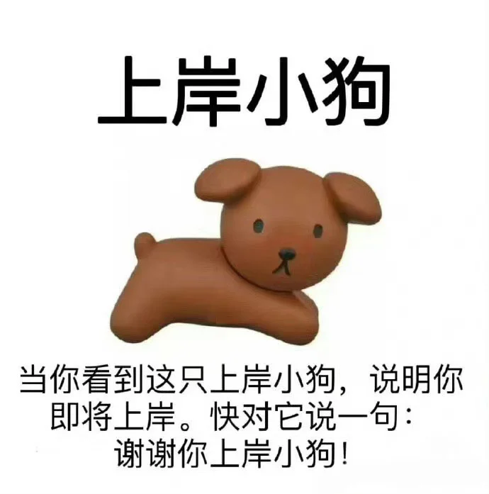 谢谢小狗让我上岸