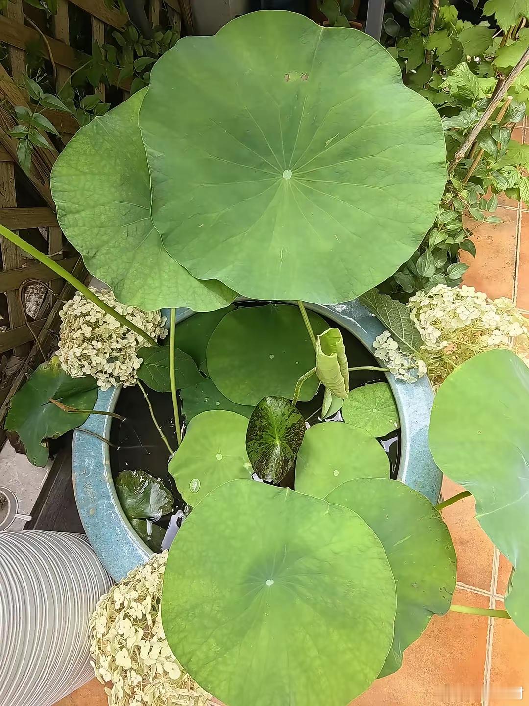 赚钱，拼到最后是格局！很多人赚不到大钱，不是能力不行，是格局太小。什么叫格局？是