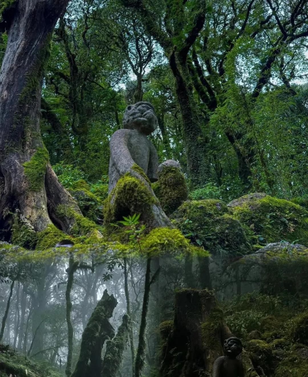 “山不在高，有仙则灵；水不在深，有龙则灵。”哀牢山，这座神秘而辽阔的绿色王国，不