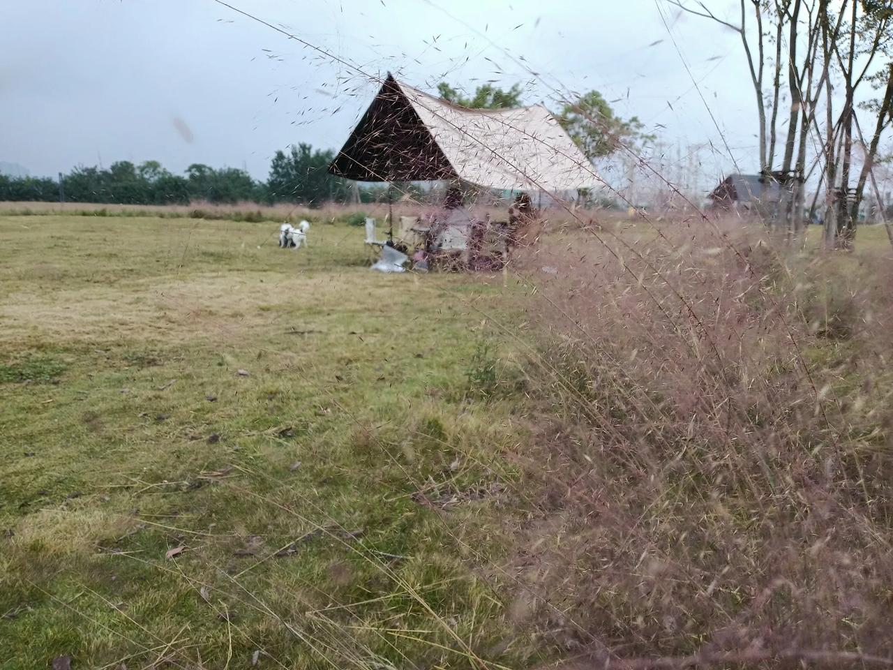 人其实在用一生的时间在学习什么是爱。很多人到死也不会明白，所以只能循环往复。
爱