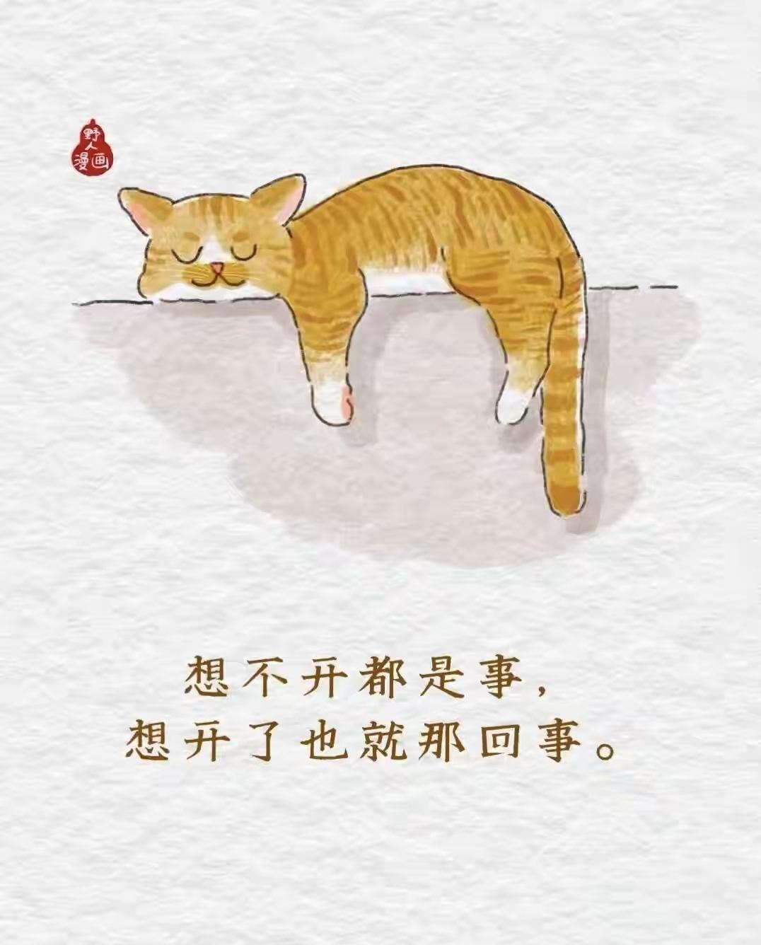 这个世界太吵闹，你要把自己当根葱，
但别真把自己当盘菜，快乐就好。