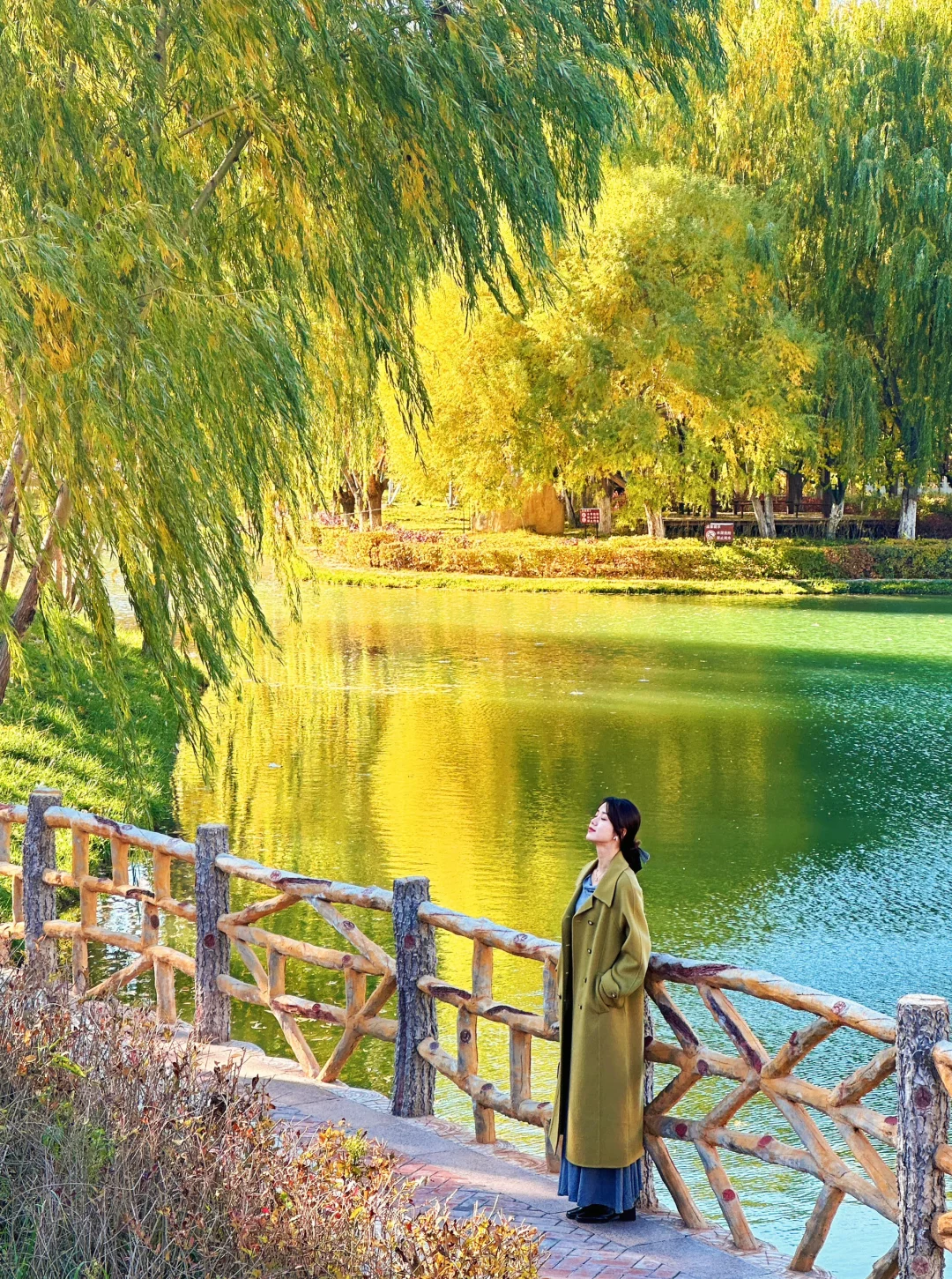 伊宁市湿地公园的晚秋！真的很塞外江南！！