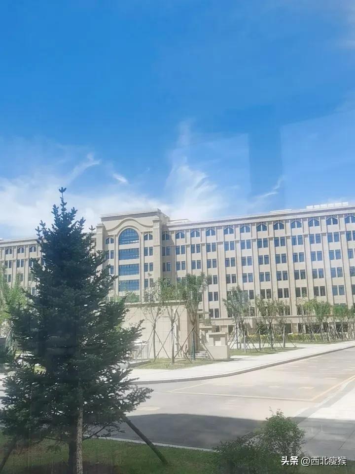 一张图证明夏天来了