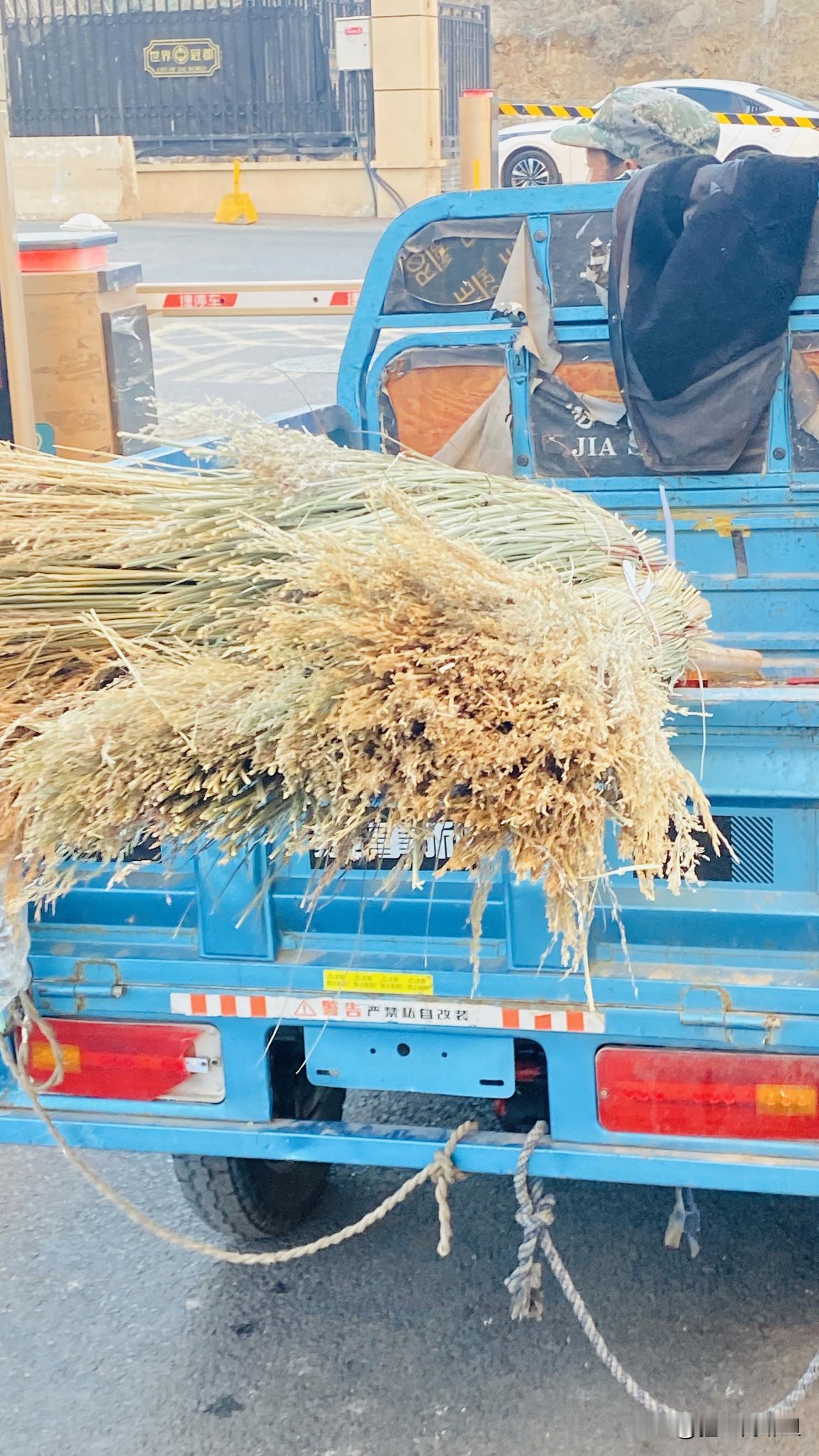 我每天早上都能看到楼下停着的这辆电动三轮车。

车上不是装着一车纸壳就是扫把🧹
