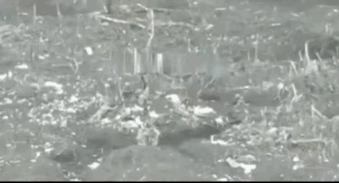 根据外媒报道，俄罗斯军队近日在阿夫杰耶夫卡周边打扫战场时，在一处战壕发现了两名来