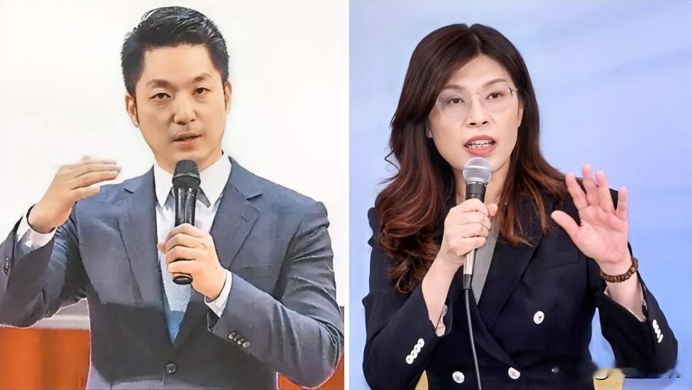 国民党2028人选民调出炉：蒋万安43.4%、郑丽文仅6.5%

泛蓝选民看好谁