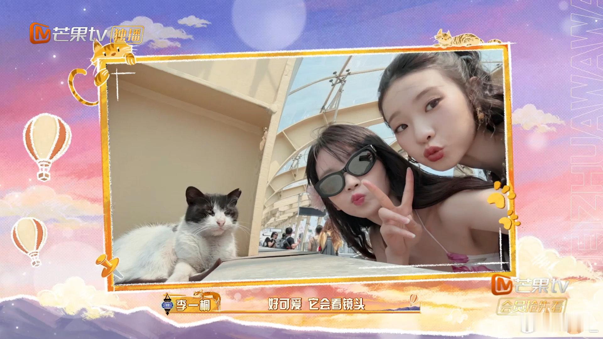 田曦薇随时随地和猫自拍 田曦薇抓娃娃痛包 田曦薇这猫猫缘太绝啦！换乘地铁与猫咪甜