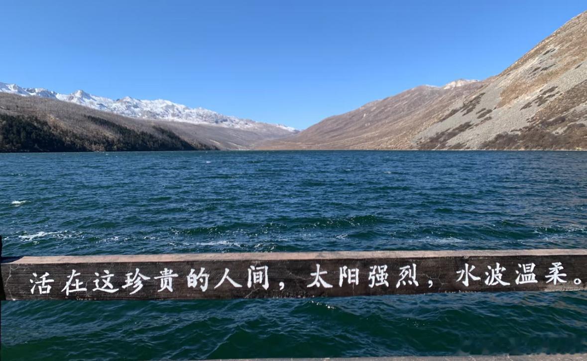 当你愿意伸手帮人一把，世界也会以某种方式为你让路。这并非玄学，而是社交规律：善意
