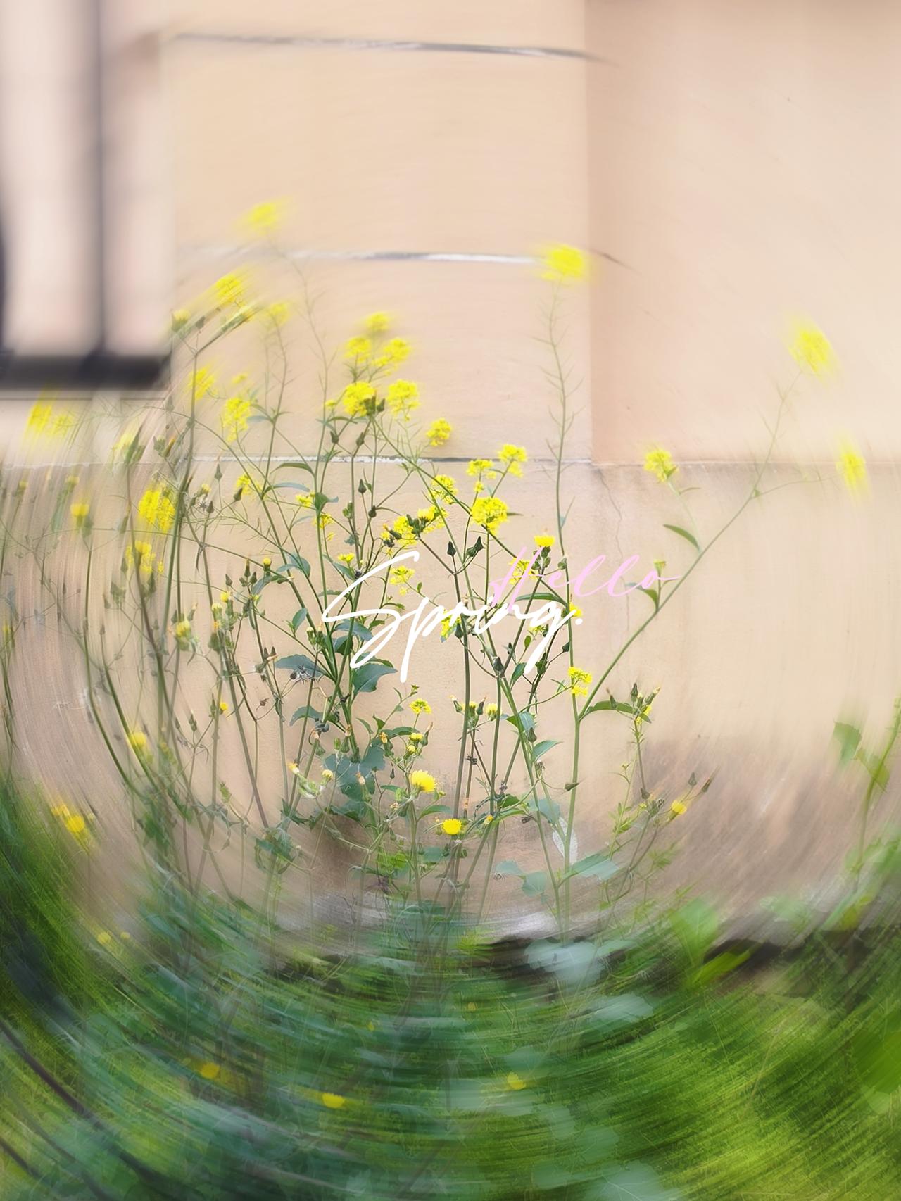 周一，有好事发生～

围踢第六名的肯德基，
琪同学开心吃到了。

同学妈妈发了图