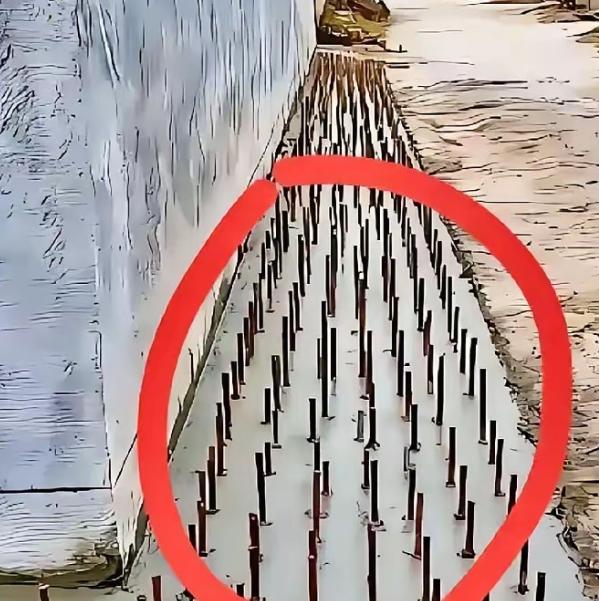 看清楚了吗？地上密密麻麻的都是立着的钢筋头！看着是在保护自家的安全！可是宅基地之