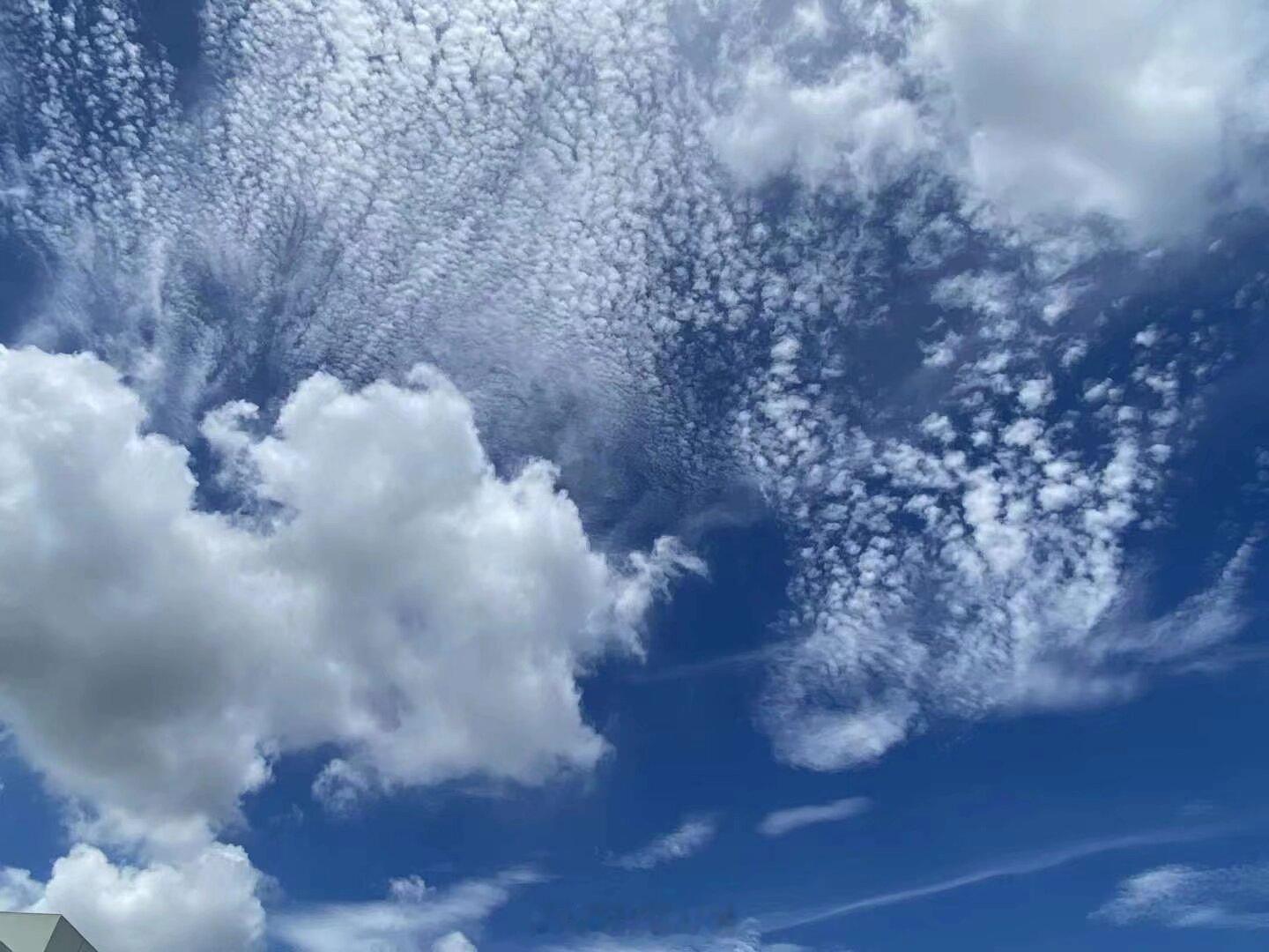 “应是天仙狂醉，乱把白云揉碎。” 