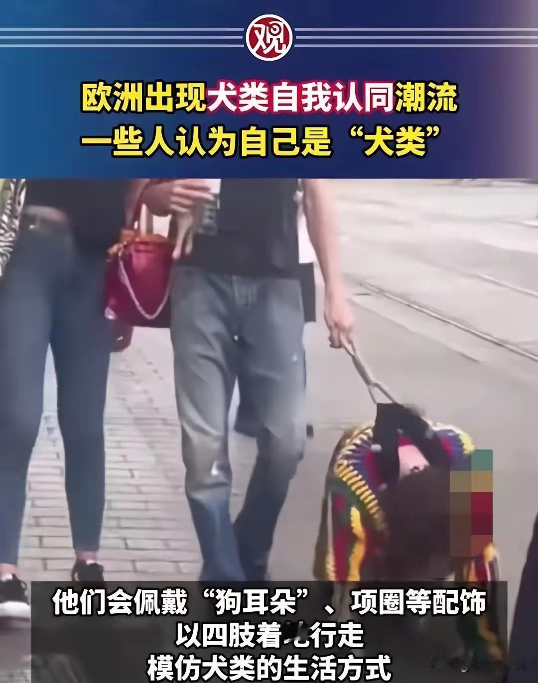 那些指责牢A说的都是谎话的人，过来看一看，“犬类自我认同”的现象就明目张胆的出现