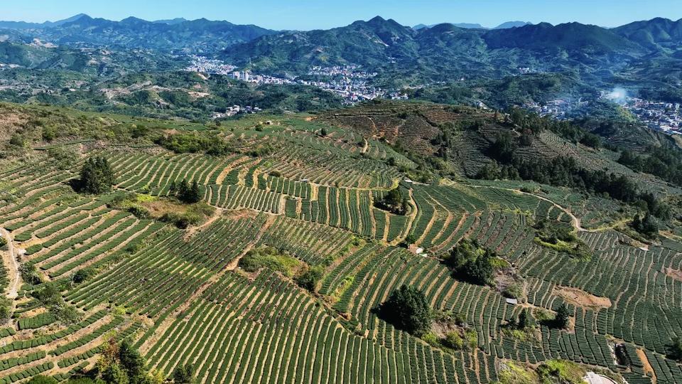 【最痛苦的心态，莫过于欲望过多】
        最痛苦的心态，莫过于欲望过多。