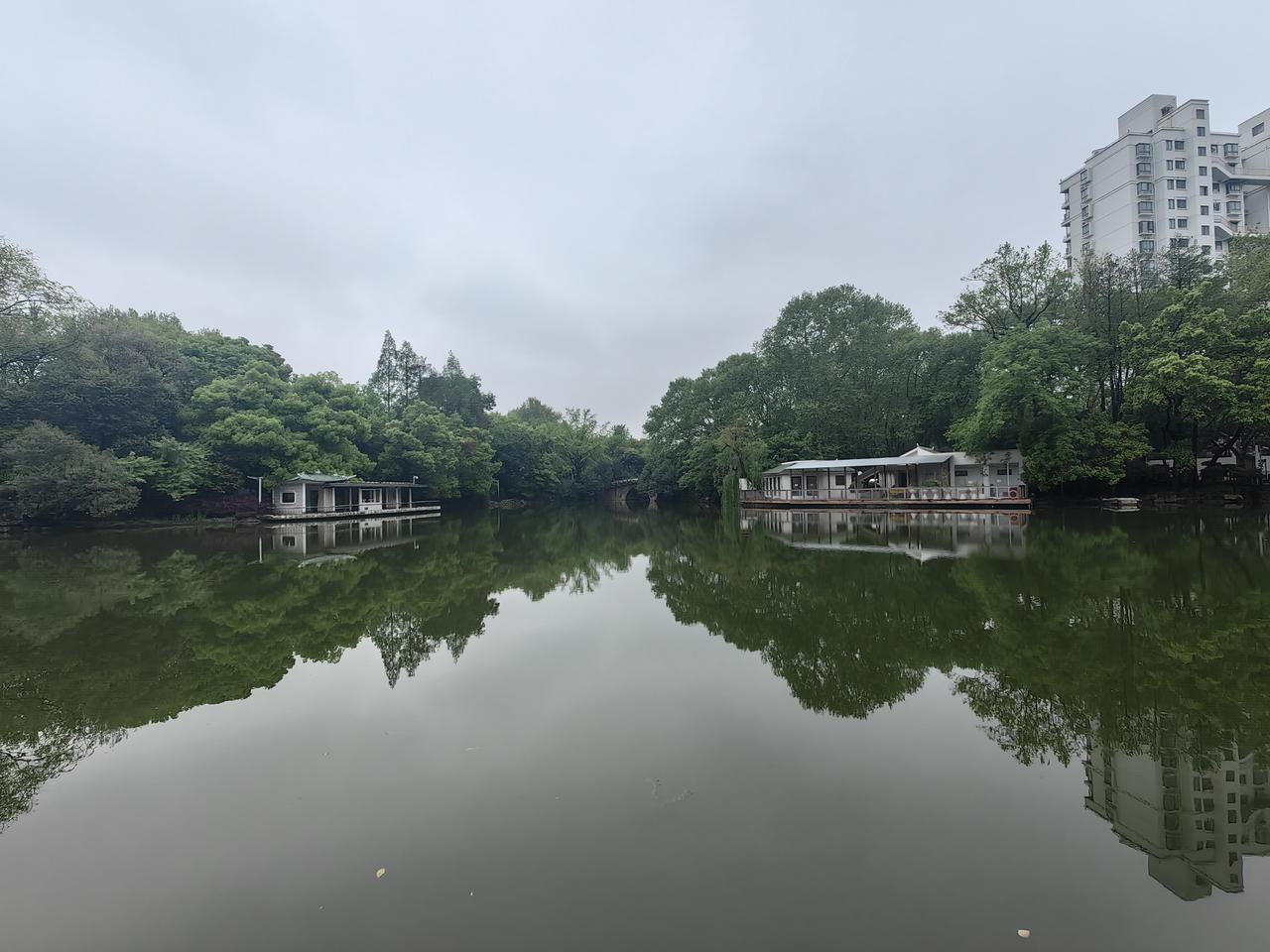 中东炮火未停，股市却先有反应，这背后原因其实挺复杂。从近期情况看，美伊临时停火消