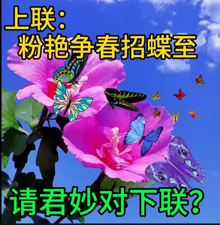 今天学到的金句风可以吹起一张白纸，却无法吹走一只蝴蝶，因为生命的力量在于不顺从。