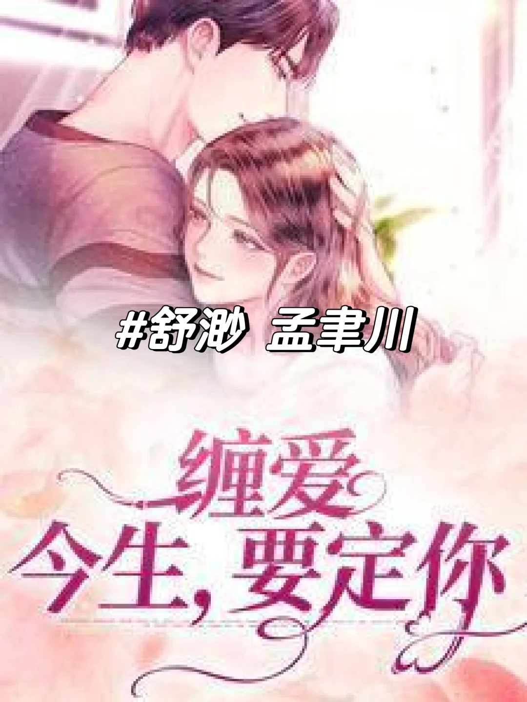 小说缠爱:今生,要定你舒渺孟聿川全文阅读