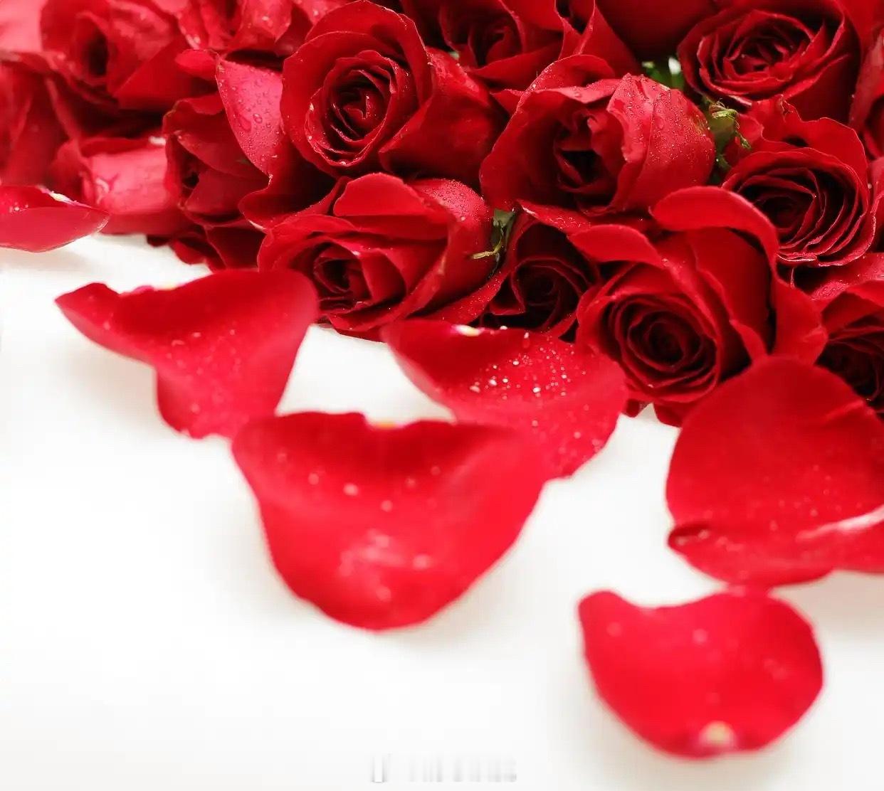 写一封情书致灵魂爱人——我爱的，是你的全部。盼望着和你在一起，花前月下，浪漫相依